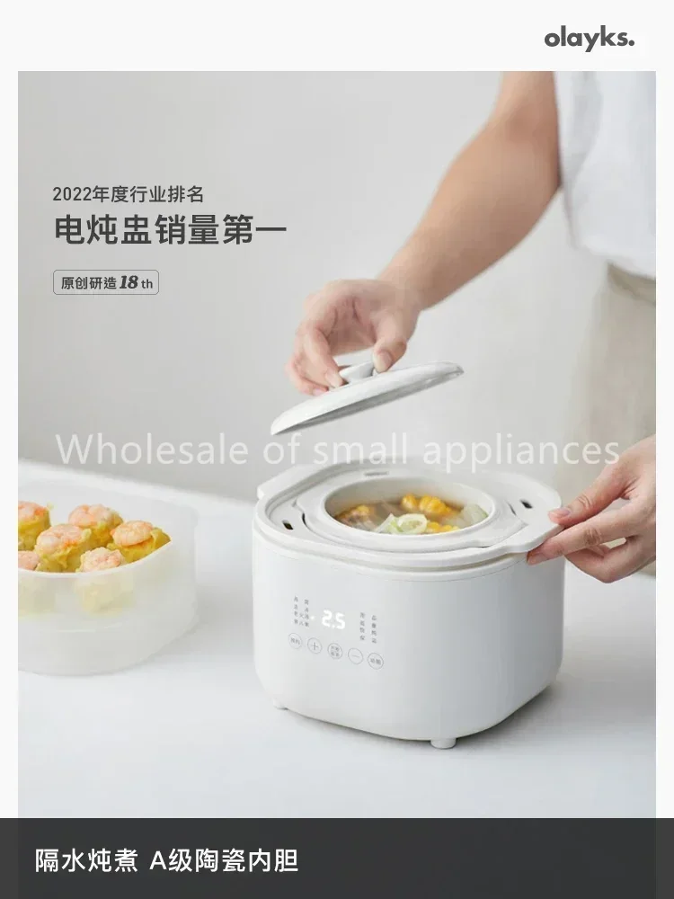 220V Small Electric Cooker, Ba - Baby Food Home 评论和价格