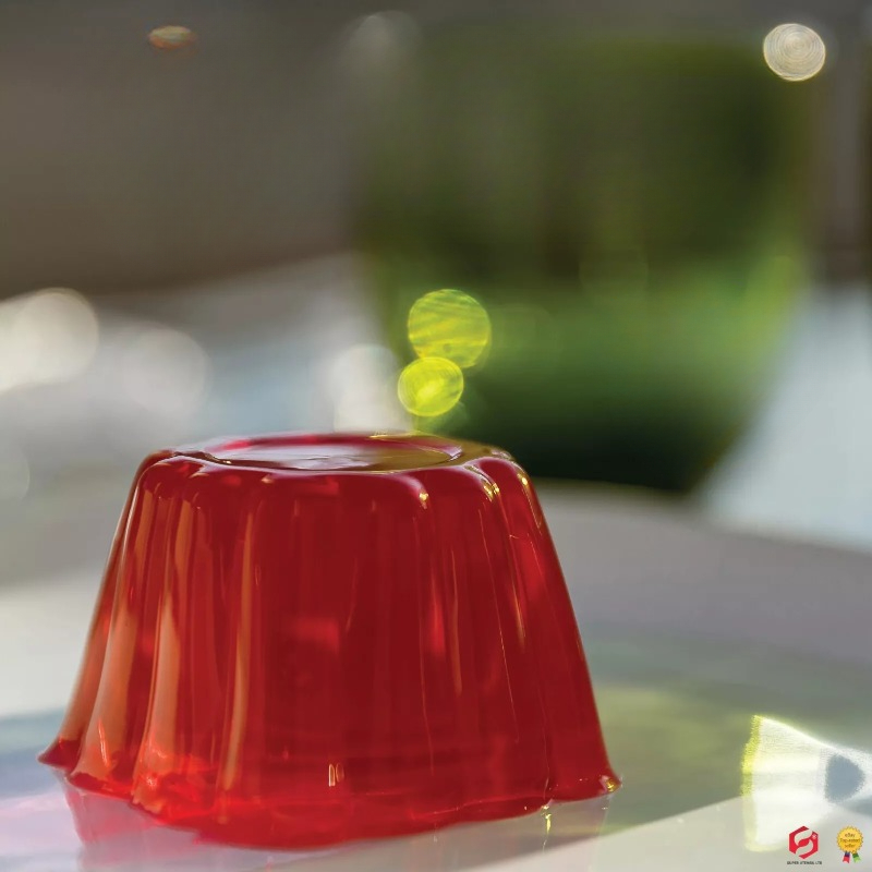 Pudding Cake Mold with Lid DIY - Baby Food Home 评论和价格
