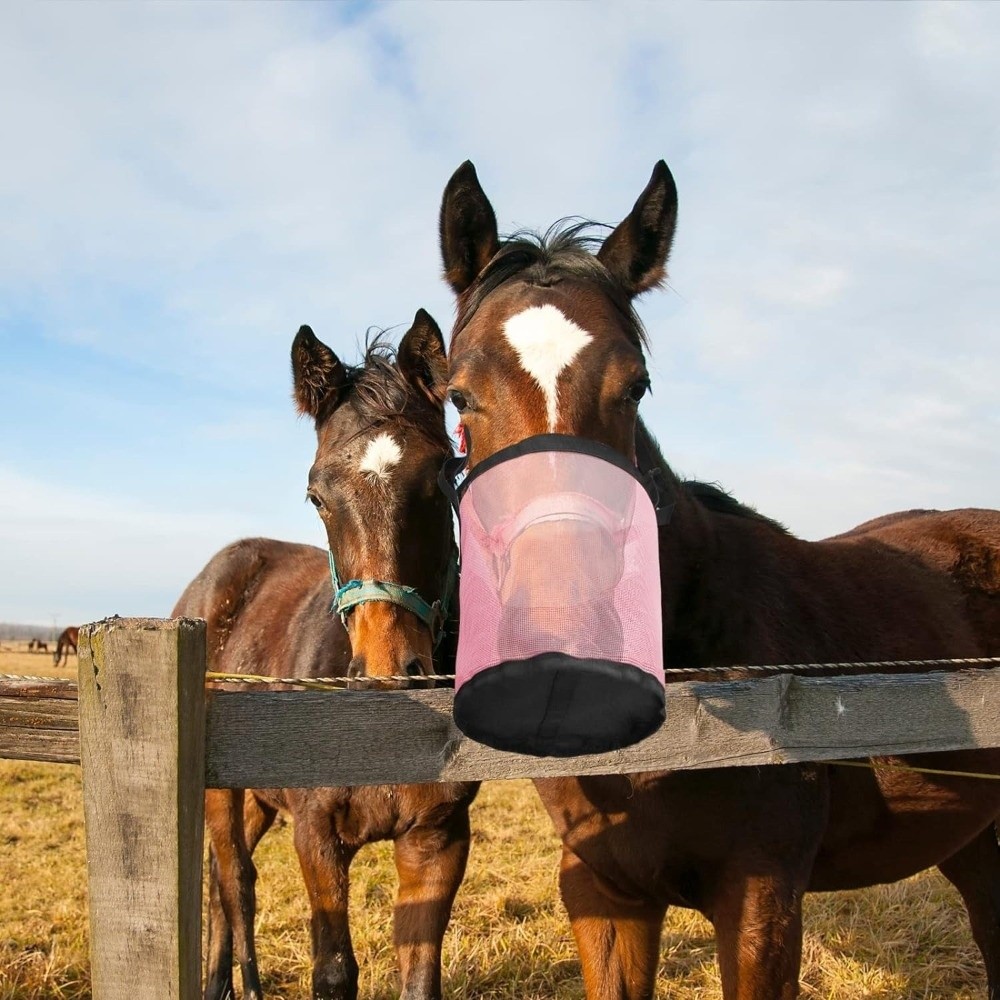 Multi-color Leak-Proof Horse F - Mesh Feeder Bag 评论和价格