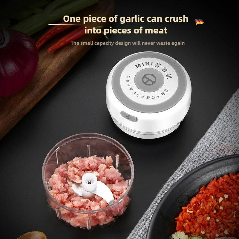 Electric Mini Garlic Chopper 1 - Baby 1 Year Food 评论和价格