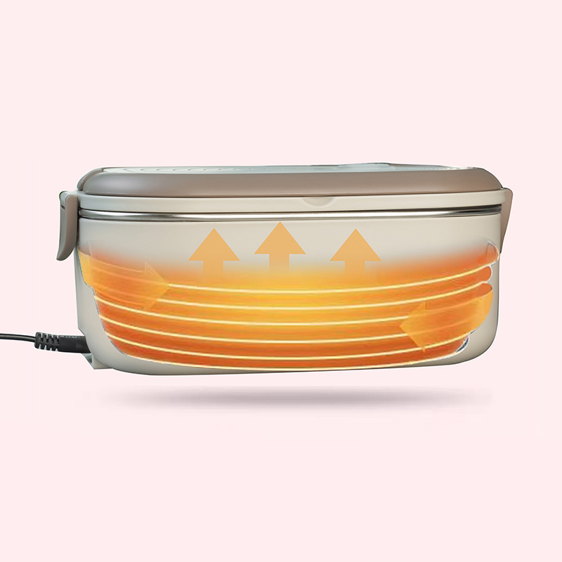 220V 110V Electric Lunch Box S - Baby Food Warmer Portable 评论和价格