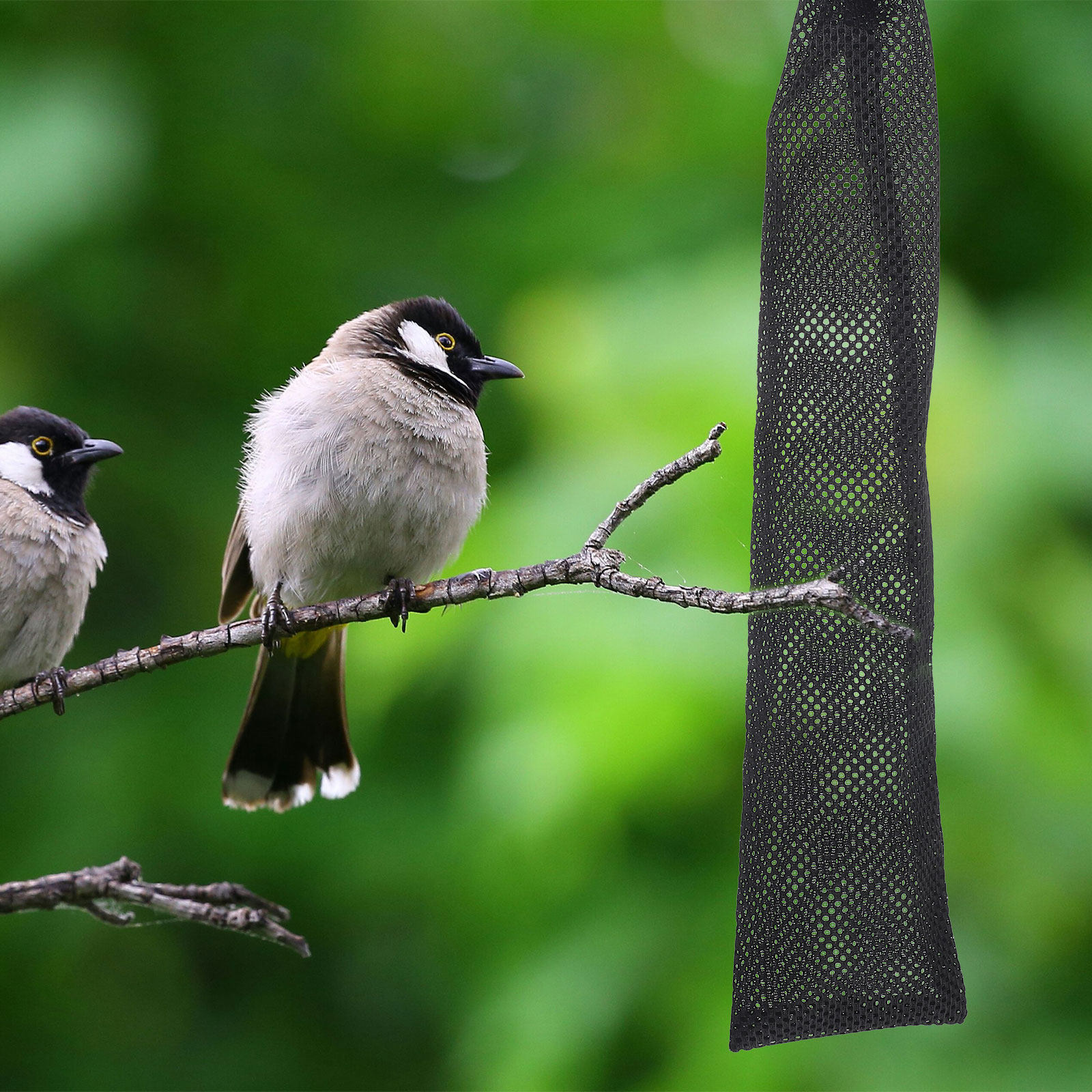 3Pcs Birds Feeding Mesh Bags N - Mesh Feeder Bag 评论和价格